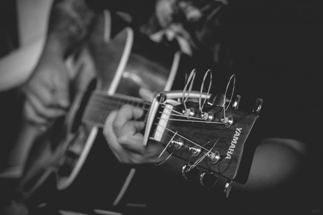 pexels-photo-12544
